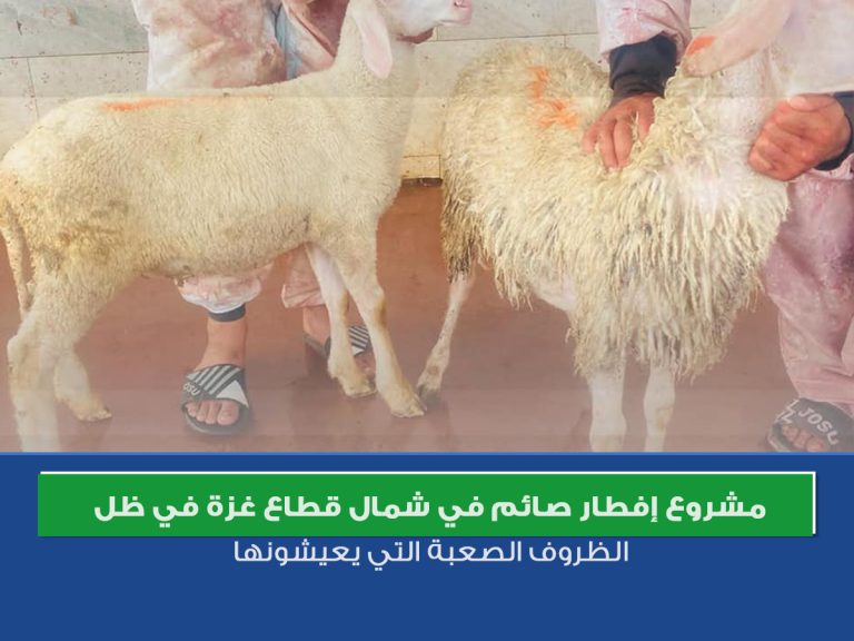 مشروع إفطار صائم في شمال قطاع غزة في ظل الظروف الصعبة التي يعيشونها.