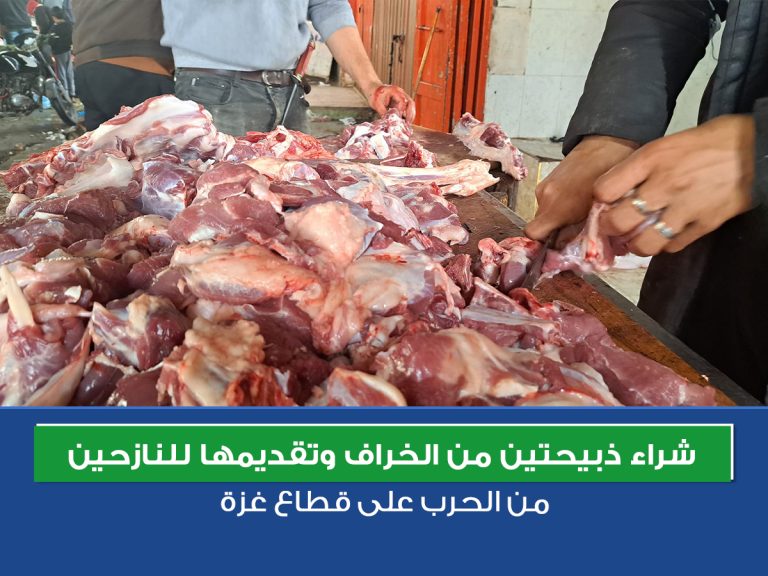 شراء ذبيحتين من الخراف وتقديمها للنازحين من الحرب على قطاع غزة